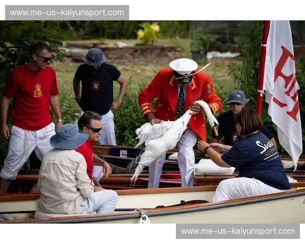 泰晤士河畔的白刃战：当富勒姆遇上西布罗姆，谁才是真正的升级专家？